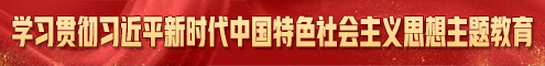 学习贯彻习近平新时代中国特色社会主义思想主题教育